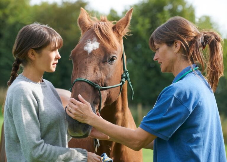 two woman petting a horse
