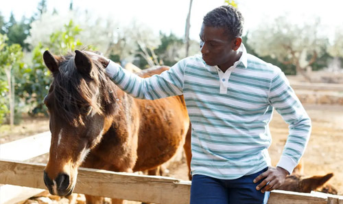 man leaning on fence petting horse