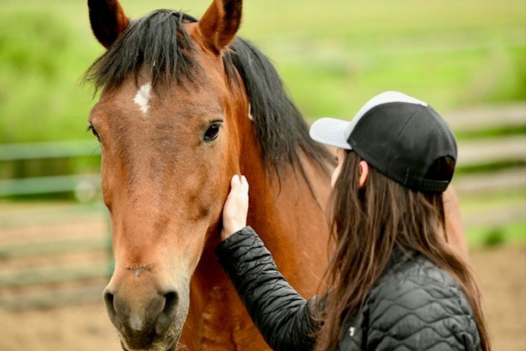 Horses For Mental Health