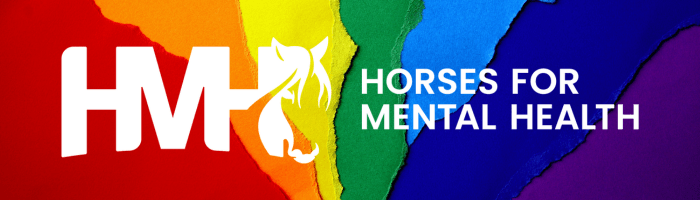 HMH Pride Banner graphic