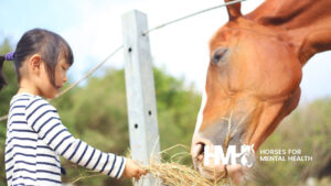 A young girl feeding hay to a horse