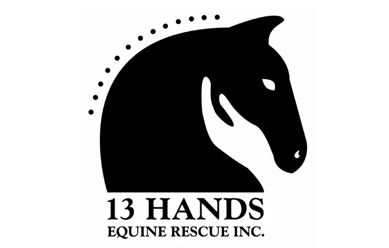 13 Hands Equine Rescue 785x500