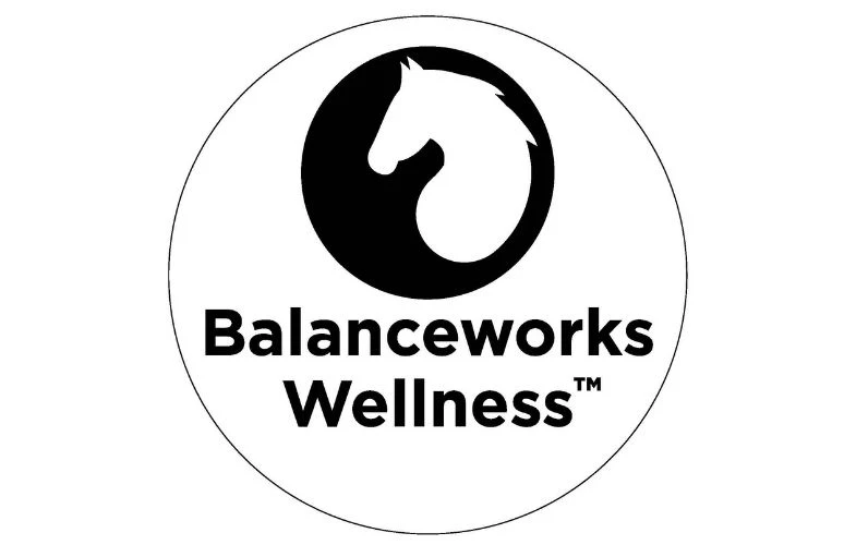 Balanceworks Wellness 785x500