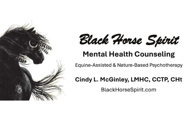 Black Horse Spirit 785x500