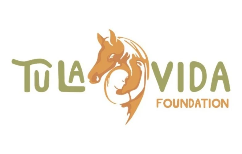 Tula Vida Foundation 785x500